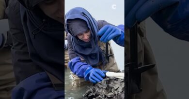 NYC Innovates is BACK! #tech #innovation