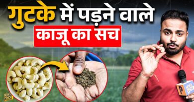 Pan Masala गुटके में पड़ता है काजू का ये पार्ट, गुटका खाने वालों को दिखा दीजिए। West Bengal