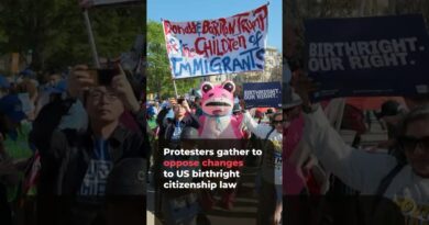 Protesters gather to oppose changes to US birthright citizenship law | AJ #shorts