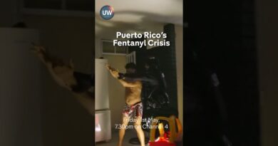 Puerto Rico’s Fentanyl Crisis | Unreported World