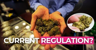 Puff, Puff… Pause? Industry Leaders Talk Cannabis Consolidation