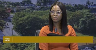 Rising demands see Q1’26 gains for Nigeria consumer goods giants