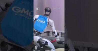 Robots to join human baggage handlers in Japan