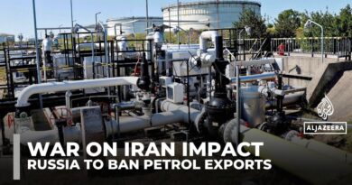 Russia to ban petrol exports to prevent shortages, stabilise domestic fuel prices