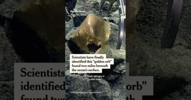 Scientists Solve ‘Golden Orb’ Mystery