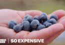 Should Organic Food Be So Expensive?
