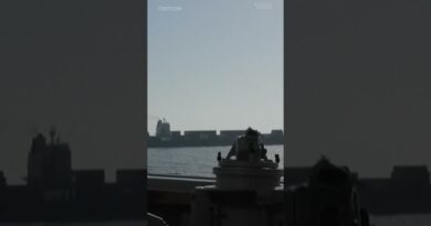 Tensions between the #US and #Iran are already affecting ship traffic through the Strait of Hormuz.