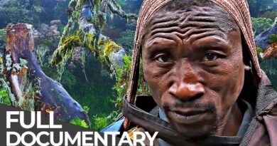 The Mountains That Look Like Another Planet | Uganda’s Rwenzori | Free Documentary