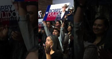 The Singer Who Hopes to Flip a South Texas District in the Midterms | WSJ