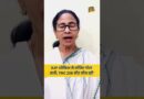 ‘TMC 226 से ज़्यादा सीट जीत रही…’ Mamata Banerjee ने एग्जिट पोल को खारिज करते हुए क्या कहा दिया?