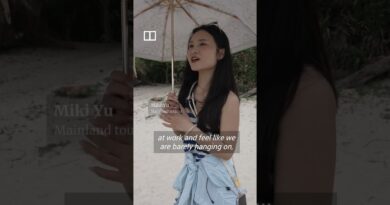 Tourist ‘tree-hanging’ trend sparks debate in Hong Kong