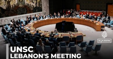 UN Security Council meeting: Members discuss deaths of peacekeepers in Lebanon