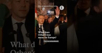 What does Orban’s loss mean for Europe? | The Economist
