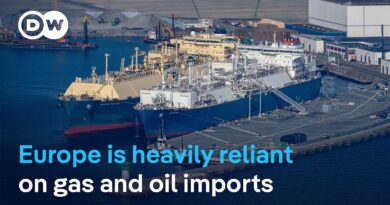 What measures could EU countries consider to reduce fuel demand? | DW News