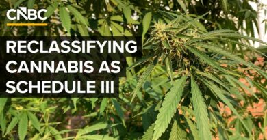 What The Trump Administration’s Cannabis Reclassification Means For The Drug
