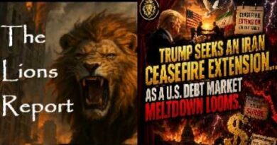 When Credit Stops, Everything Stops… Mannarino