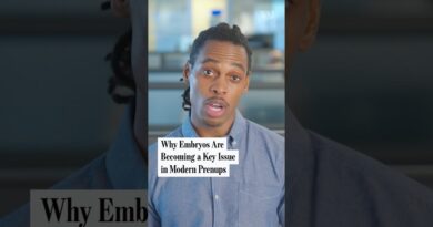 Why Embryos Are Becoming a Key Issue in Modern Prenups