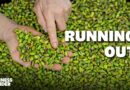 Why The Iran War Is Making Pistachios So Expensive They Could Disappear From Recipes