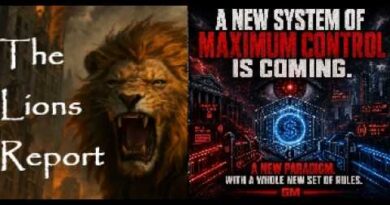 A COMPLETELY UNCONSTITUTIONAL SYSTEM. Mannarino