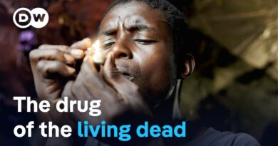 Addiction and the trauma of war: Liberia’s youth and the “zombie drug” kush | DW Documentary
