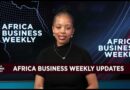 Africa Business Weekly: AfCFTA’s role in boosting SMME participation