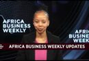Africa Business Weekly: Commissioner Johnstone Makhubu takes South African Revenue Services reins