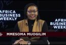 Africa Business Weekly: South Africa withdraws draft artificial intelligence policy