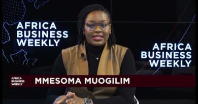 Africa Business Weekly: South Africa withdraws draft artificial intelligence policy