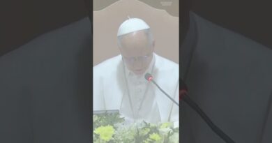 #AI needs to be disarmed, #PopeLeo warns. #artificialintelligence