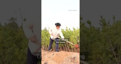 American’s US$5,000 donation helps turn China desert into an oasis
