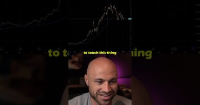 Analysis of Palantir Stock Valuation