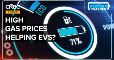Are Surging Fuel Prices Pushing Up EV Sales? Experts Say It’s Not That Simple