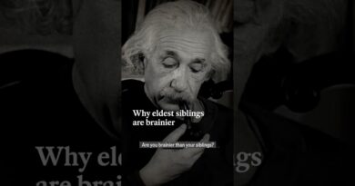 Are you brainier than your siblings? | The Economist