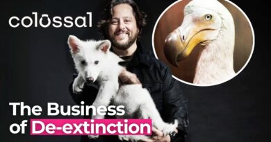 Back From Extinction: The Science Turning Lost Species into Living Reality
