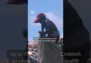 Bali is drowning in its own trash
