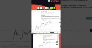 Bitcoin Could Trigger the Next Market Rally!