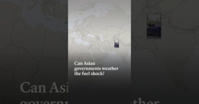 Can Asian governments weather the fuel shock?