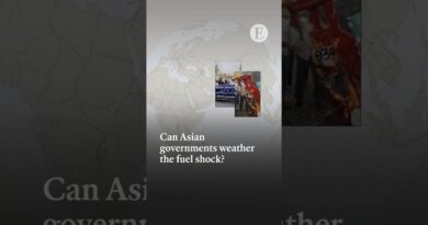 Can Asian governments weather the fuel shock?