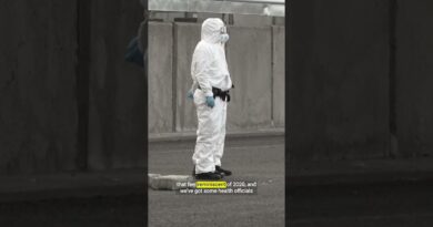 Can you trust health experts to navigate the hantavirus?