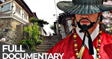 Earth Untold: South Korea | Hidden Tales from the Land of the Calm Morning | Free Documentary