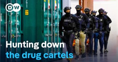 Europe’s drug mafia (2/2) – The weakness of states | DW Documentary