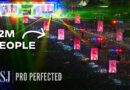 Experts Explain Hidden Crowd Control for a 2M-Person Concert | WSJ Pro Perfected
