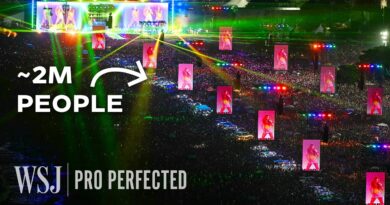 Experts Explain Hidden Crowd Control for a 2M-Person Concert | WSJ Pro Perfected