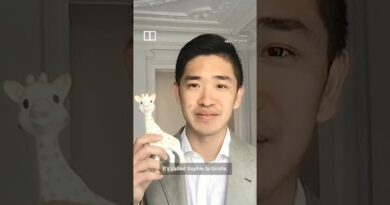 France’s national baby toy secretly made in China