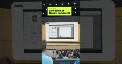 Gemini on MacOS demo