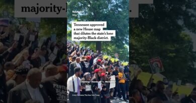 GOP Breaks Up Tennessee’s Only Majority-Black Congressional District, to Protests