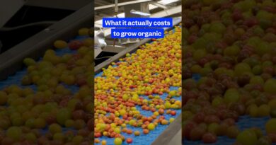 Here’s how much #organicfarming really costs. #farm #businessowner #agriculture