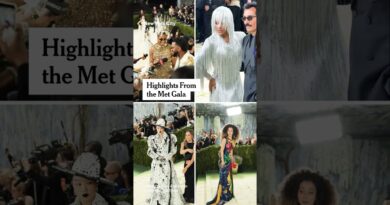 Highlights From the Met Gala