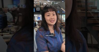 Hong Kong principal caught swearing at guards on school trip in Singapore