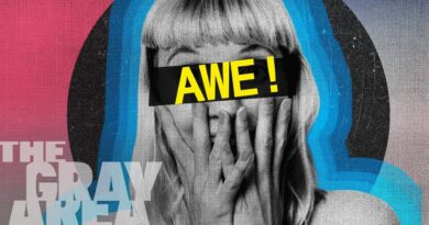 How awe silences your ego | The Gray Area